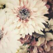 ヒメ日記 2025/09/28 23:58 投稿 森田 MadameRest(マダムレスト)