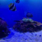 ヒメ日記 2025/09/29 06:38 投稿 森田 MadameRest(マダムレスト)