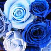 ヒメ日記 2025/10/01 02:03 投稿 森田 MadameRest(マダムレスト)