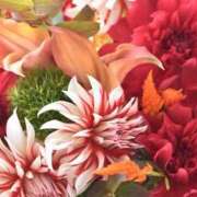 ヒメ日記 2025/10/02 01:48 投稿 森田 MadameRest(マダムレスト)