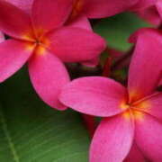 ヒメ日記 2025/10/04 03:02 投稿 森田 MadameRest(マダムレスト)