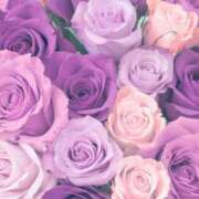 ヒメ日記 2025/10/06 01:45 投稿 森田 MadameRest(マダムレスト)