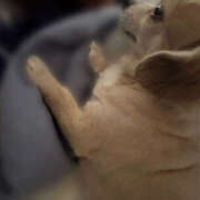 ヒメ日記 2025/10/06 09:45 投稿 森田 MadameRest(マダムレスト)