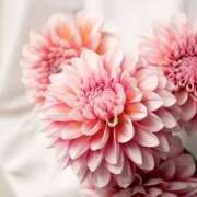 ヒメ日記 2025/10/09 02:02 投稿 森田 MadameRest(マダムレスト)