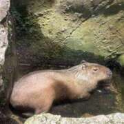 ヒメ日記 2025/10/10 18:44 投稿 森田 MadameRest(マダムレスト)