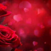 ヒメ日記 2025/10/13 22:19 投稿 森田 MadameRest(マダムレスト)