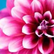 ヒメ日記 2025/10/15 01:56 投稿 森田 MadameRest(マダムレスト)