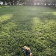 ヒメ日記 2025/10/15 10:06 投稿 森田 MadameRest(マダムレスト)