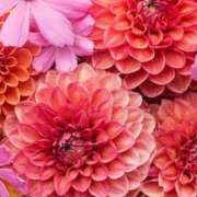 ヒメ日記 2025/10/16 02:15 投稿 森田 MadameRest(マダムレスト)