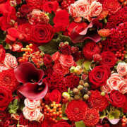 ヒメ日記 2025/10/19 01:44 投稿 森田 MadameRest(マダムレスト)