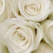 ヒメ日記 2025/10/23 01:26 投稿 森田 MadameRest(マダムレスト)