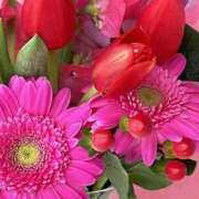 ヒメ日記 2025/10/24 06:33 投稿 森田 MadameRest(マダムレスト)