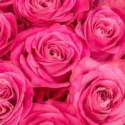 ヒメ日記 2025/11/03 03:21 投稿 森田 MadameRest(マダムレスト)