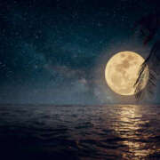 ヒメ日記 2025/11/05 13:59 投稿 森田 MadameRest(マダムレスト)