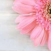 ヒメ日記 2025/11/06 03:30 投稿 森田 MadameRest(マダムレスト)