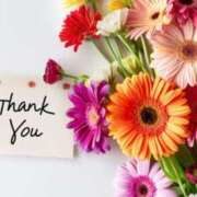 ヒメ日記 2025/11/07 02:06 投稿 森田 MadameRest(マダムレスト)