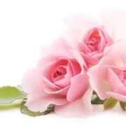 ヒメ日記 2025/11/08 17:36 投稿 森田 MadameRest(マダムレスト)