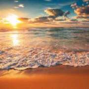 ヒメ日記 2025/11/12 10:35 投稿 森田 MadameRest(マダムレスト)