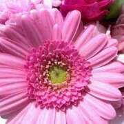 ヒメ日記 2025/11/15 19:05 投稿 森田 MadameRest(マダムレスト)