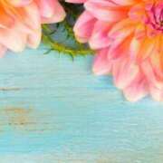 ヒメ日記 2025/11/17 01:53 投稿 森田 MadameRest(マダムレスト)