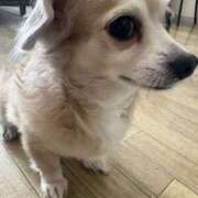 ヒメ日記 2025/11/19 14:46 投稿 森田 MadameRest(マダムレスト)