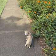 ヒメ日記 2025/11/25 12:28 投稿 森田 MadameRest(マダムレスト)