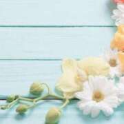 ヒメ日記 2025/11/27 12:20 投稿 森田 MadameRest(マダムレスト)