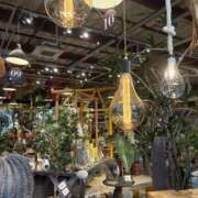 ヒメ日記 2025/11/29 09:20 投稿 森田 MadameRest(マダムレスト)