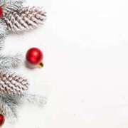 ヒメ日記 2025/12/09 03:57 投稿 森田 MadameRest(マダムレスト)