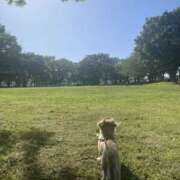 ヒメ日記 2025/12/23 11:28 投稿 森田 MadameRest(マダムレスト)