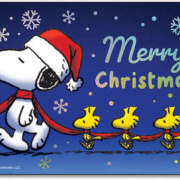 ヒメ日記 2025/12/24 12:26 投稿 森田 MadameRest(マダムレスト)