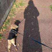 ヒメ日記 2025/12/27 11:30 投稿 森田 MadameRest(マダムレスト)