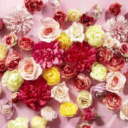 ヒメ日記 2025/12/29 03:25 投稿 森田 MadameRest(マダムレスト)