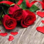 ヒメ日記 2025/12/30 04:16 投稿 森田 MadameRest(マダムレスト)