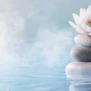 ヒメ日記 2026/01/02 13:19 投稿 森田 MadameRest(マダムレスト)