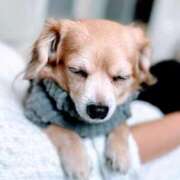 ヒメ日記 2026/01/16 23:43 投稿 森田 MadameRest(マダムレスト)