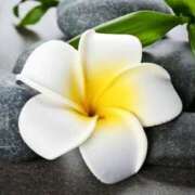 ヒメ日記 2026/01/22 11:44 投稿 森田 MadameRest(マダムレスト)