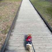 ヒメ日記 2026/01/29 15:21 投稿 森田 MadameRest(マダムレスト)