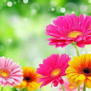 ヒメ日記 2026/02/04 12:38 投稿 森田 MadameRest(マダムレスト)