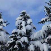 ヒメ日記 2026/02/08 10:53 投稿 森田 MadameRest(マダムレスト)