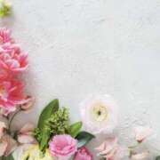 ヒメ日記 2026/02/19 02:04 投稿 森田 MadameRest(マダムレスト)