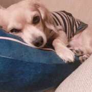 ヒメ日記 2026/02/23 22:44 投稿 森田 MadameRest(マダムレスト)