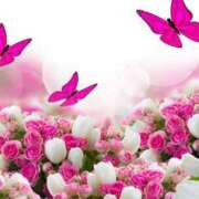 ヒメ日記 2026/02/26 23:53 投稿 森田 MadameRest(マダムレスト)