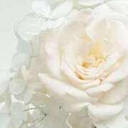 ヒメ日記 2026/03/03 03:47 投稿 森田 MadameRest(マダムレスト)