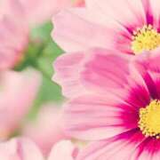 ヒメ日記 2026/03/09 01:04 投稿 森田 MadameRest(マダムレスト)