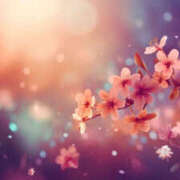 ヒメ日記 2026/03/09 13:26 投稿 森田 MadameRest(マダムレスト)