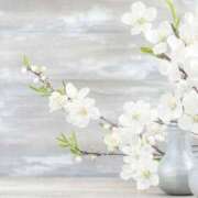 ヒメ日記 2026/03/11 11:34 投稿 森田 MadameRest(マダムレスト)