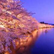 ヒメ日記 2026/03/13 12:08 投稿 森田 MadameRest(マダムレスト)