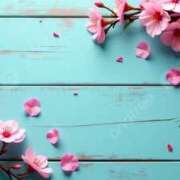 ヒメ日記 2026/03/14 15:24 投稿 森田 MadameRest(マダムレスト)