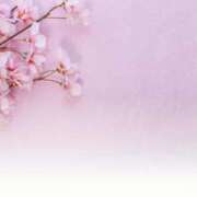 ヒメ日記 2026/03/21 05:38 投稿 森田 MadameRest(マダムレスト)